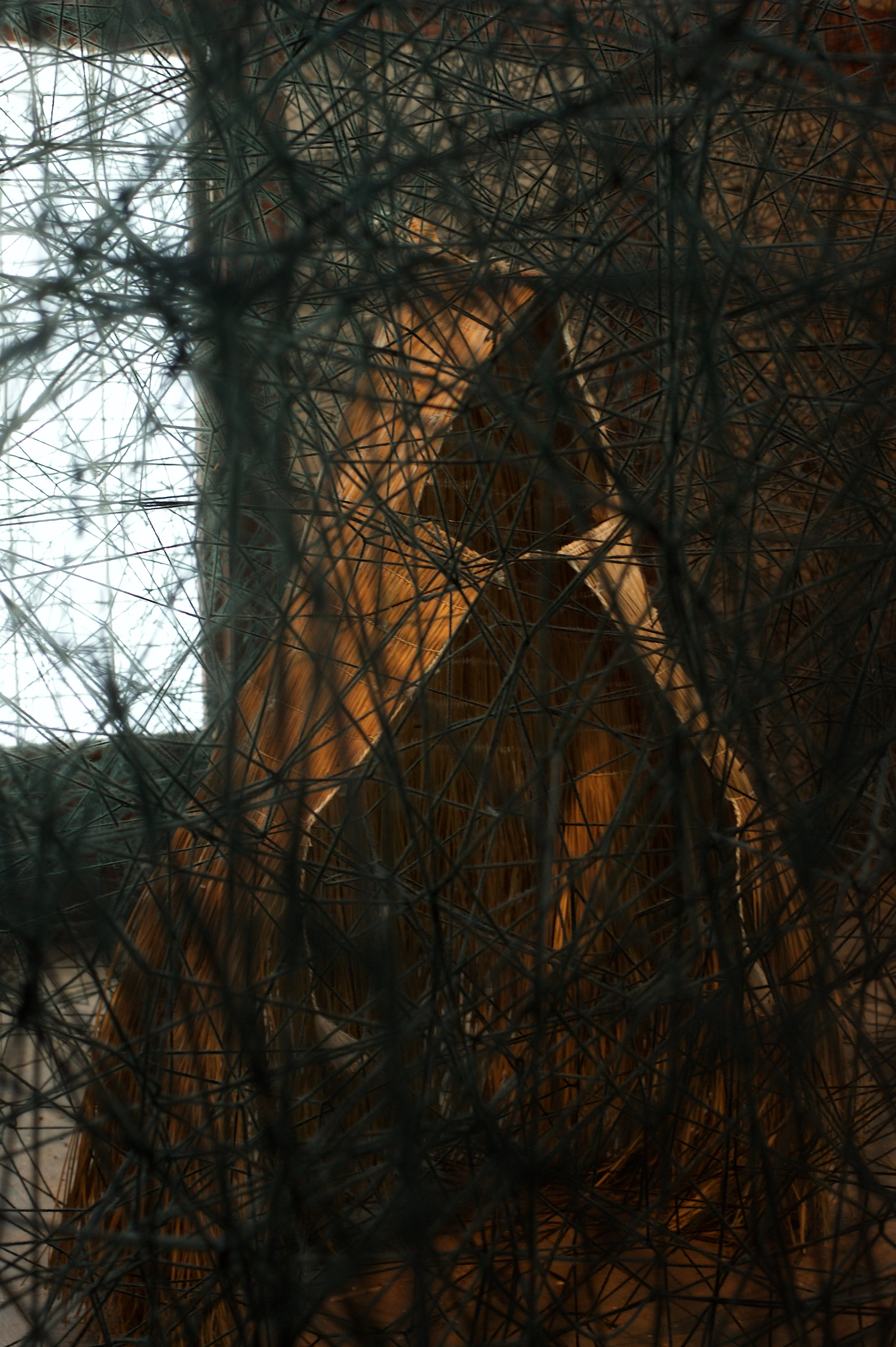CHIHARU SHIOTA–塩田千春